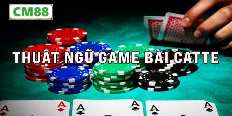Cách Chơi Bài Catte Từng Vòng