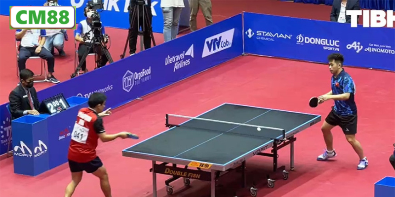 Lý Do Cá Độ Bóng Bàn Hấp Dẫn Đến Vậy